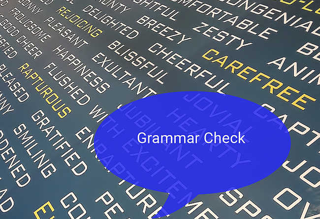 Grammar Checker