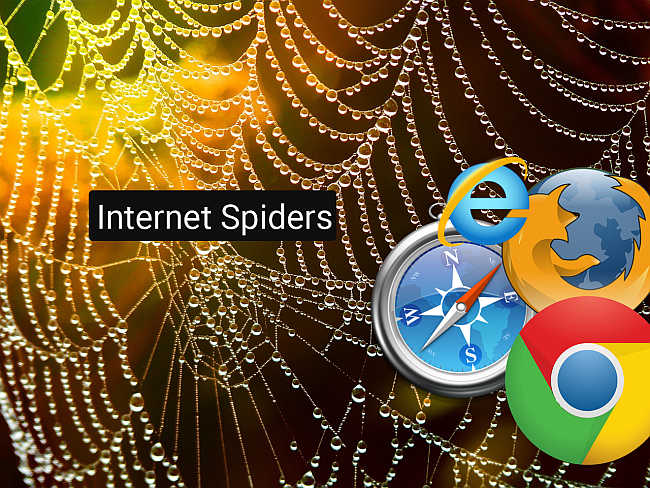 internet spiders